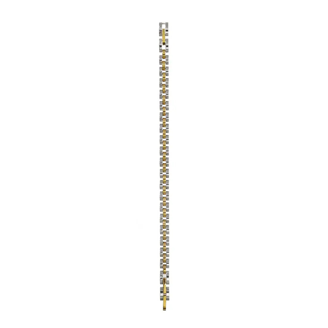 Dainty Watch Band, Two Tone